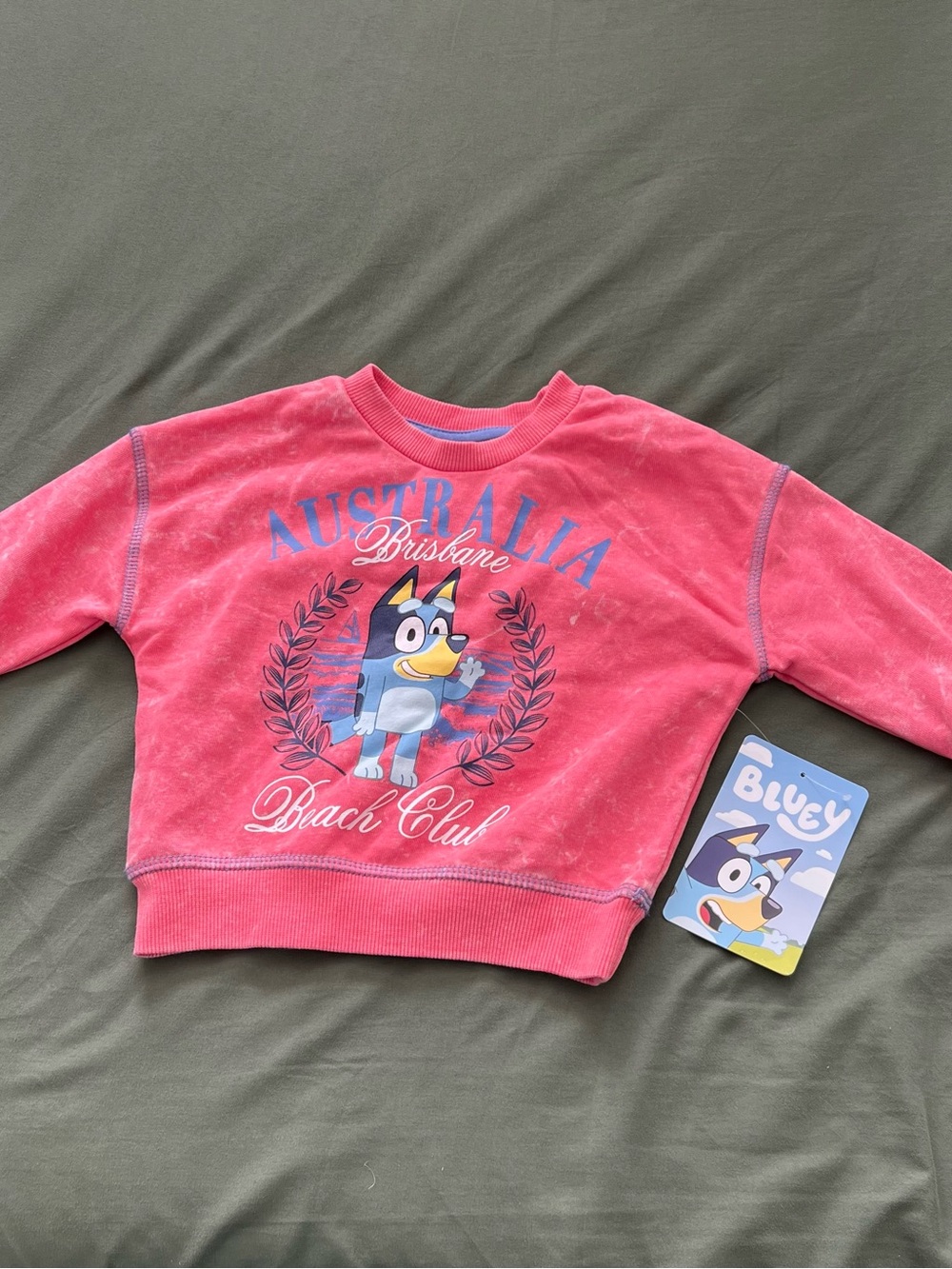 Bluey Graphic Sweatshirt Size 12M